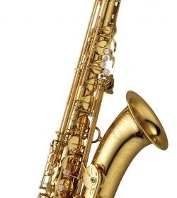 Yanagisawa T-WO1