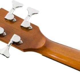Fender CB60SCE NAT WN