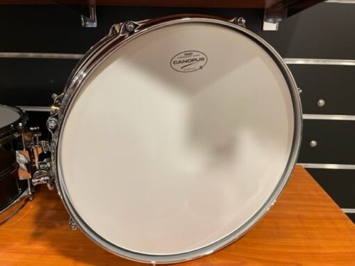 Canopus MO-1455 " The Maple" Snaredrum Bitter Brown Oil