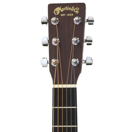 Martin D-10E Sapele