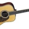Martin D-42
