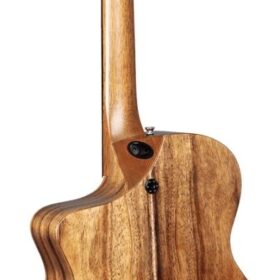 Martin SC-13E