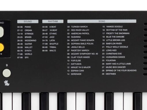 Medeli MK1/BK Medeli Nebula Series keyboard