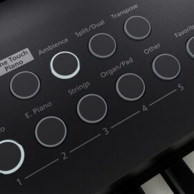 Roland FP-E50