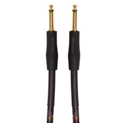 Roland RIC-G20 Gold Series