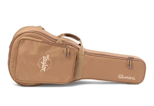 Taylor GS Mini-E Rosewood ES-B