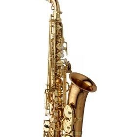 Yanagisawa A-WO20