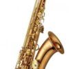 Yanagisawa T-WO2