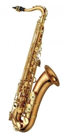 Yanagisawa T-WO2