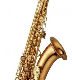 Yanagisawa T-WO2