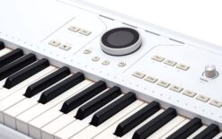 Synthesizer/Workstation