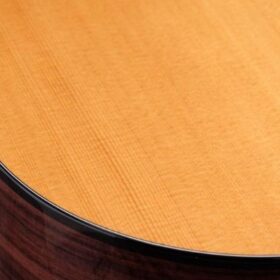 Taylor 210ce Plus Rosewood