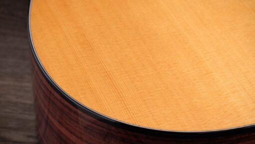 Taylor 210ce Plus Rosewood