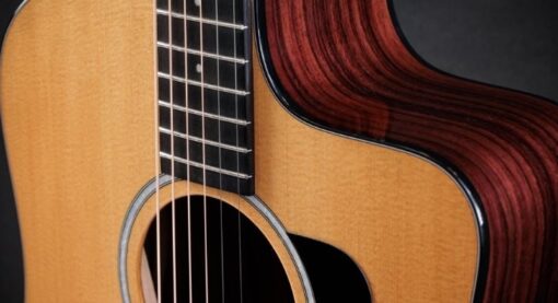 Taylor 210ce Plus Rosewood