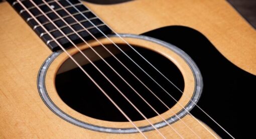 Taylor 210ce Plus Rosewood