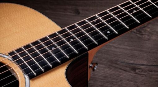 Taylor 210ce Plus Rosewood