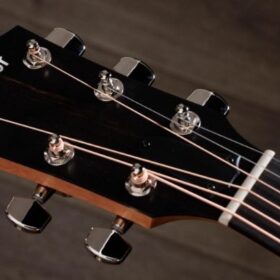 Taylor 210ce Plus Rosewood