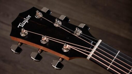 Taylor 210ce Plus Rosewood