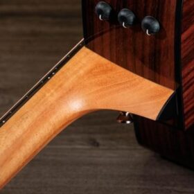 Taylor 210ce Plus Rosewood