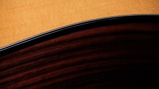Taylor 210ce Plus Rosewood