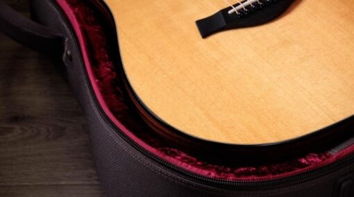 Taylor 210ce Plus Rosewood