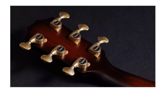 Taylor 314ce LTD 50th Anniversary Builder's Edition Kona Burst