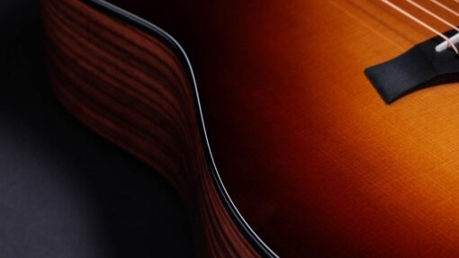 Taylor 50th Anniversary 217e-SB Plus LTD