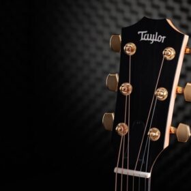 Taylor 50th Anniversary 217e-SB Plus LTD