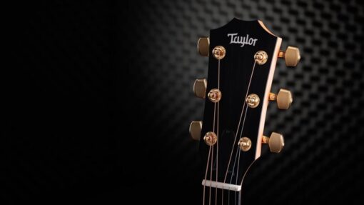 Taylor 50th Anniversary 217e-SB Plus LTD