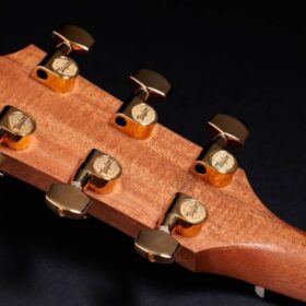 Taylor 50th Anniversary 217e-SB Plus LTD