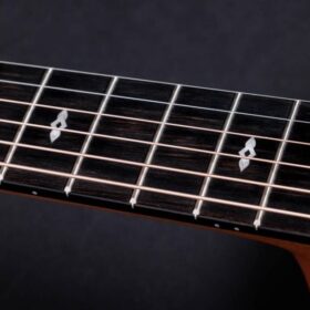 Taylor 50th Anniversary 217e-SB Plus LTD