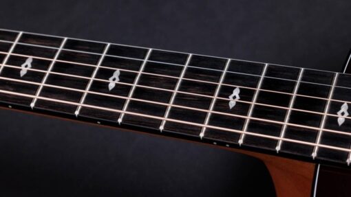 Taylor 50th Anniversary 217e-SB Plus LTD