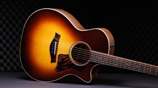 Taylor 50th Anniversary AD14ce-SB LTD