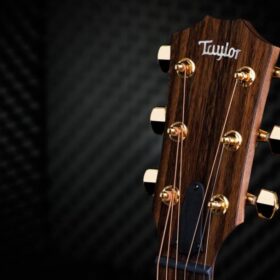 Taylor 50th Anniversary AD14ce-SB LTD