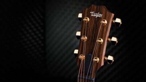 Taylor 50th Anniversary AD14ce-SB LTD
