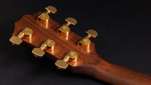 Taylor 50th Anniversary AD14ce-SB LTD