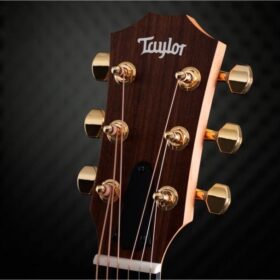 Taylor 50th Anniversary GS Mini-e Rosewood SB LTD