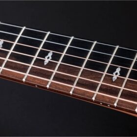 Taylor 50th Anniversary GS Mini-e Rosewood SB LTD