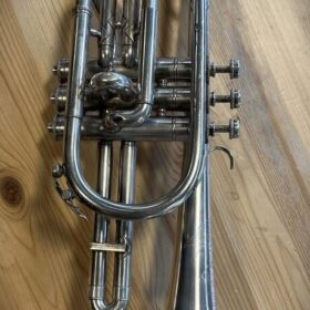 The Regent Soloist