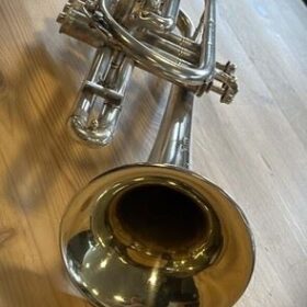 The Regent Soloist