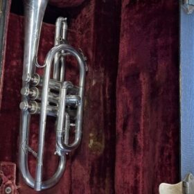 The Regent Soloist