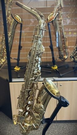 Blase Altsax