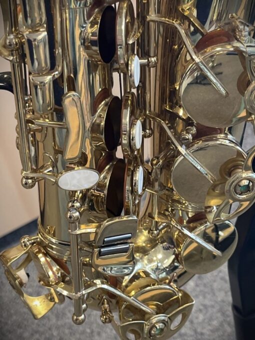 Blase Altsax