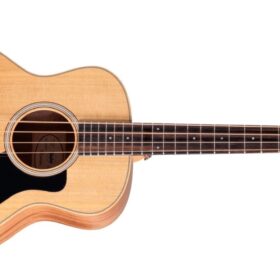 Taylor GS Mini-E Bass