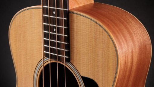 Taylor GS Mini-E Bass