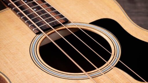 Taylor GS Mini-E Bass