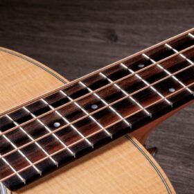 Taylor GS Mini-E Bass