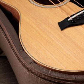 Taylor GS Mini-E Bass