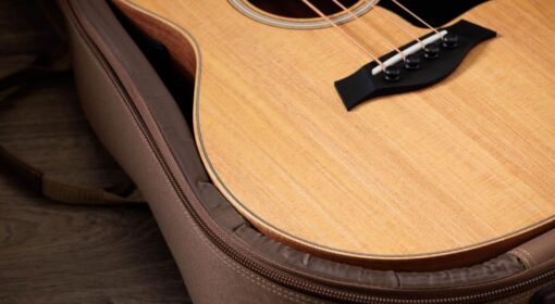 Taylor GS Mini-E Bass