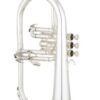 Eastman EFG521GS